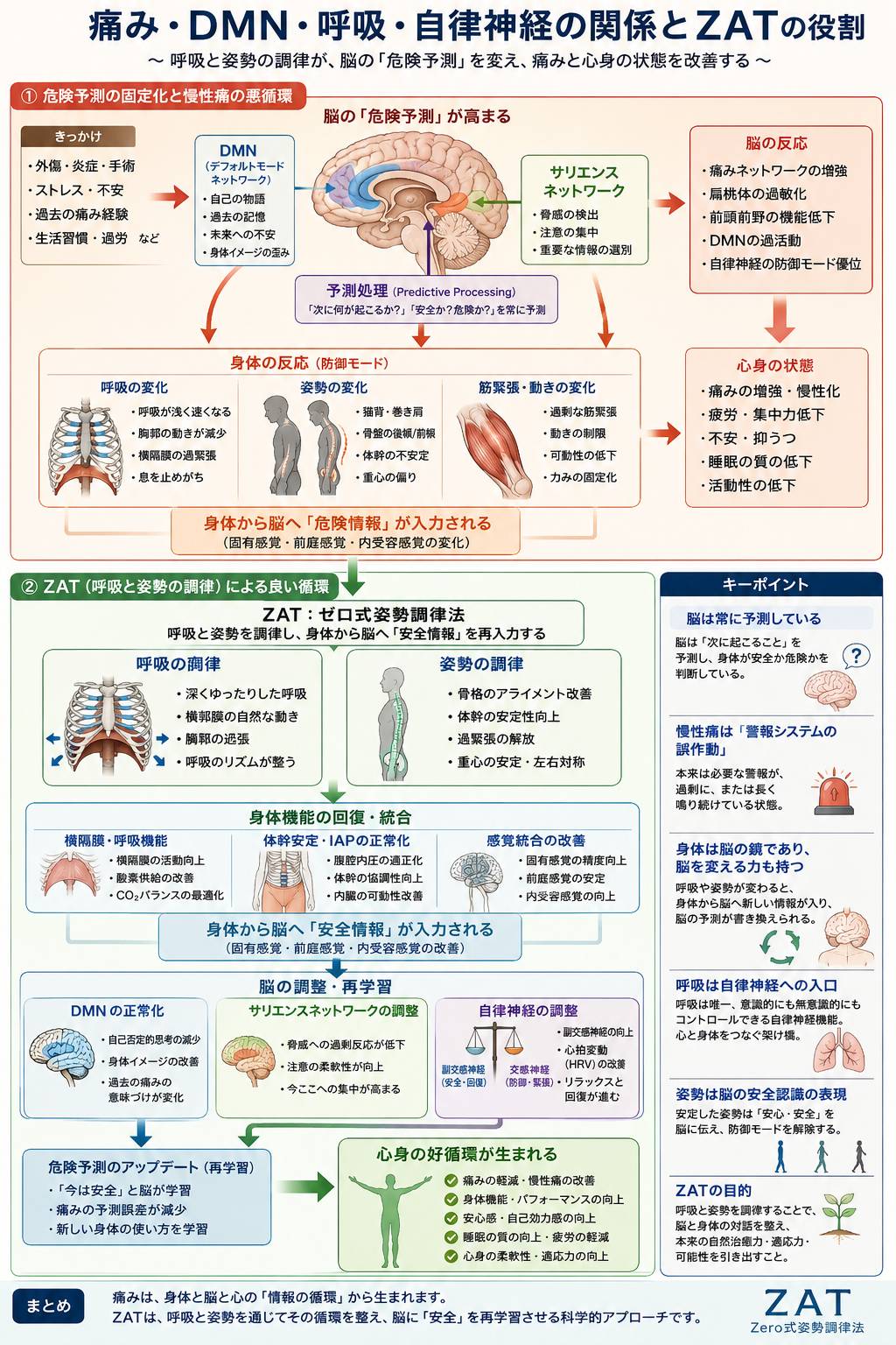 痛み・DMN・呼吸・自律神経の関係とZATの役割