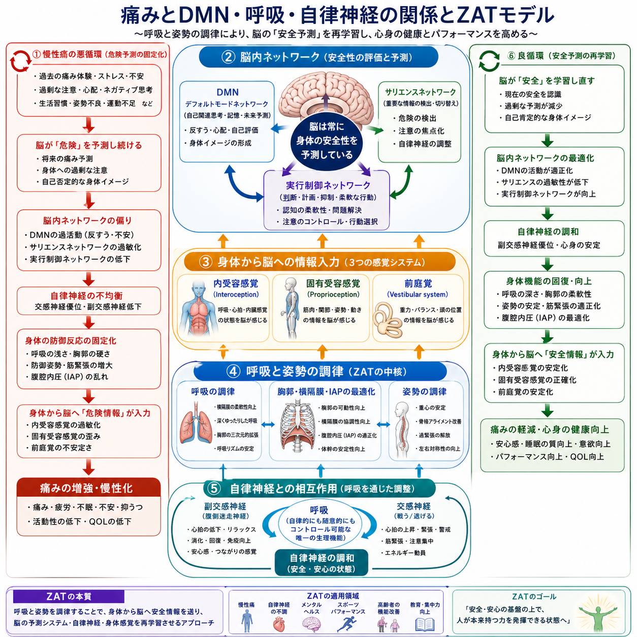 痛みとDMN・呼吸・自律神経の関係とZATモデル